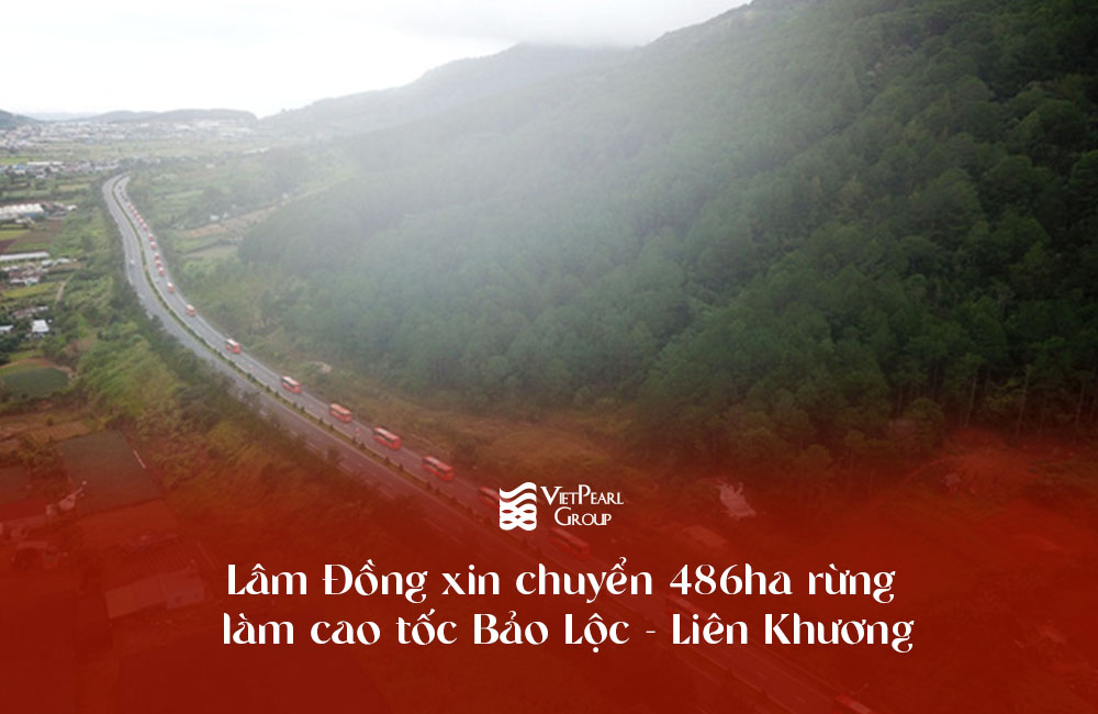 Lâm Đồng xin chuyển 486ha rừng làm cao tốc Bảo Lộc - Liên Khương